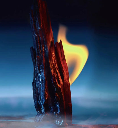 Sauvage Dior — El aroma del hombre inolvidable